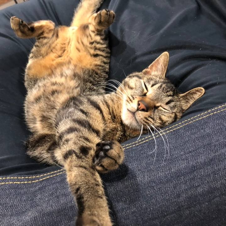 03db1544 272a 4a3d bbb9 2437aed2c1cd 1558715282478