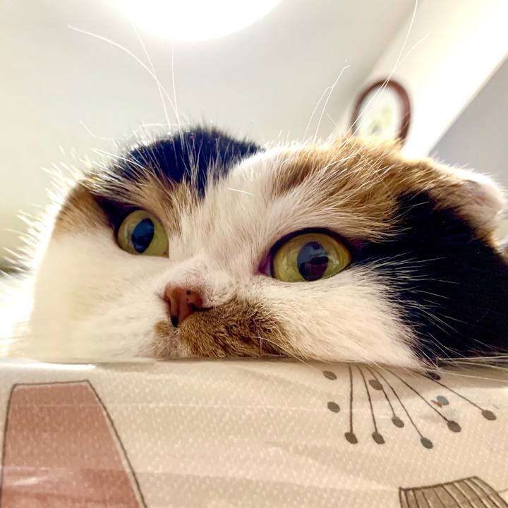 03db1851 189b 496d 9a02 2e556636a9b6 1580170838635