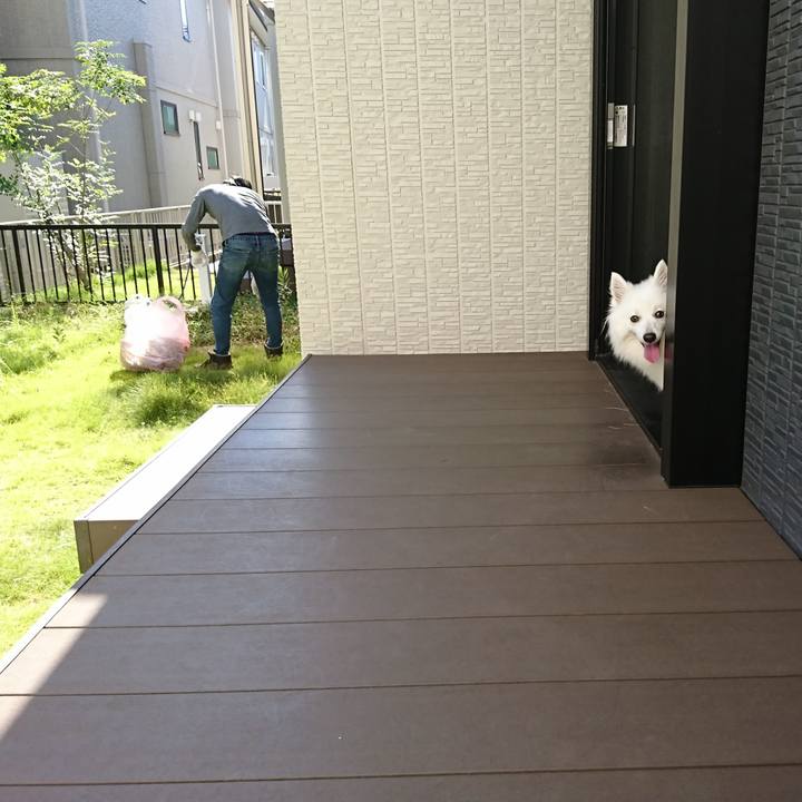 03db1a6e 6cfc 4259 95d9 5bd16aeb777b 1597473181722