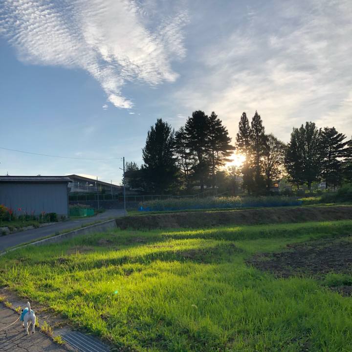 03db1d2b ce54 4d26 a5b5 0d4e0f3cedc7 1565646630574