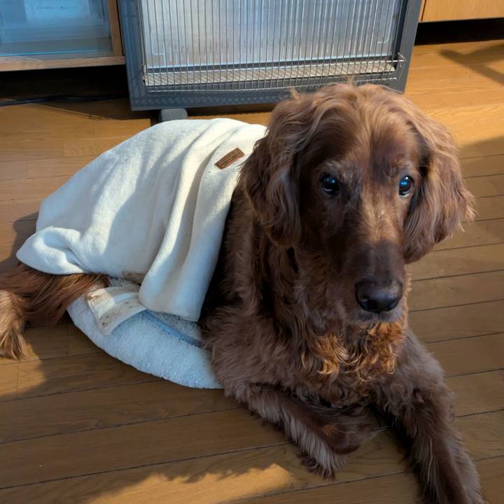 03db3b33 a878 469e 83ab 42e58ce8567c 1761780842672