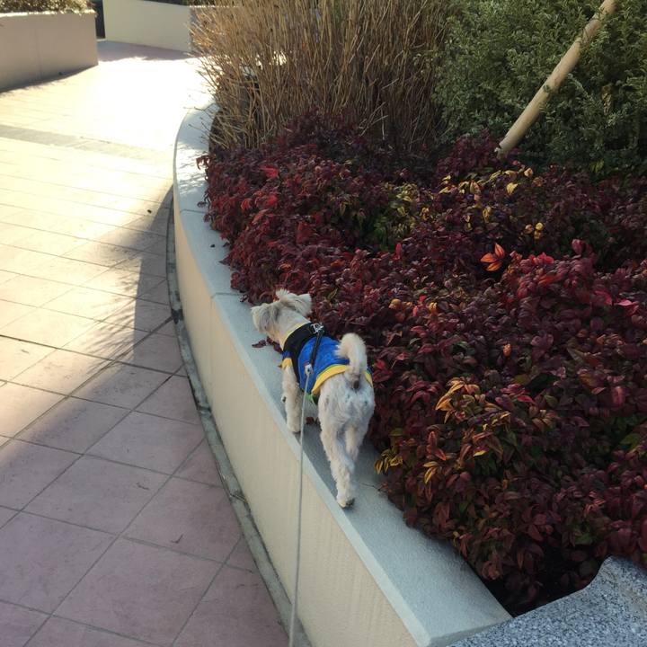 03db543d 2699 468c b7fd f5a1defdb3ee 1519897222686