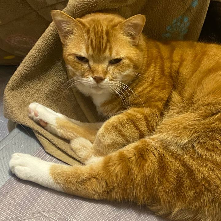 03db57fb 38ac 4f24 9749 bc5aee4cb723 1648609620687