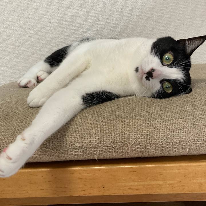 03db6a4e f233 4f29 9c90 39940aca6fd8 1624520522430