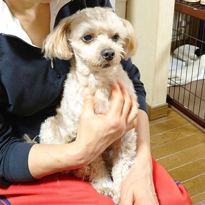 03dbcd99 2728 4155 a89f c2f0a8551684 1605956162178