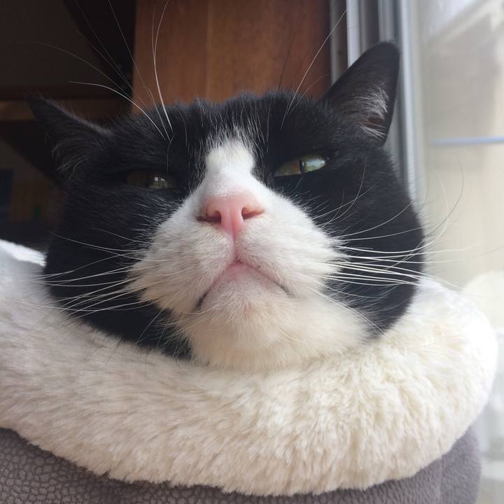 03dbf378 e536 4b93 a1aa d2624a1905c5 1517633767990