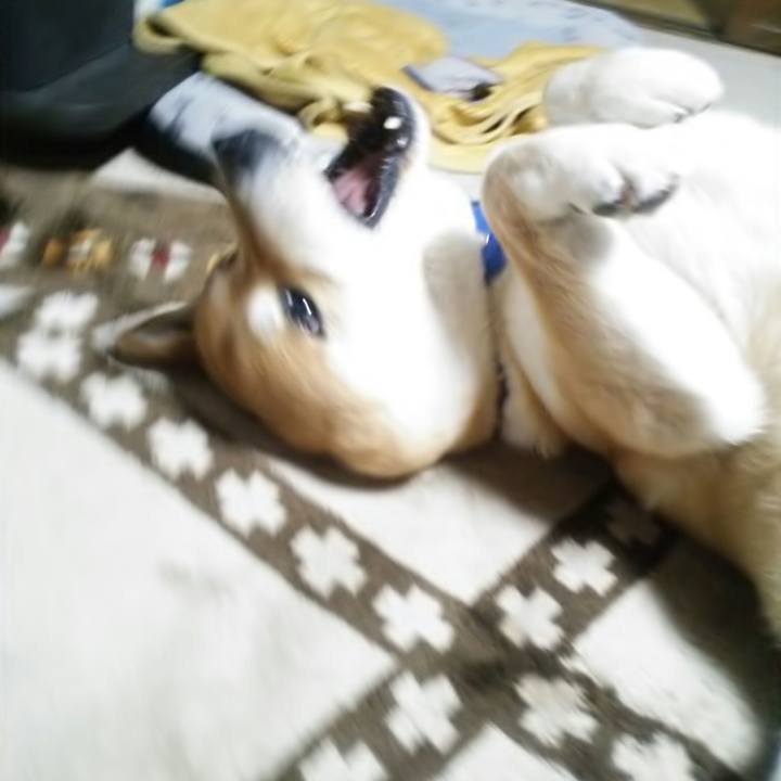 03dc17c8 b7a6 46fa 81e3 d26a487ee7d4 1525319514199