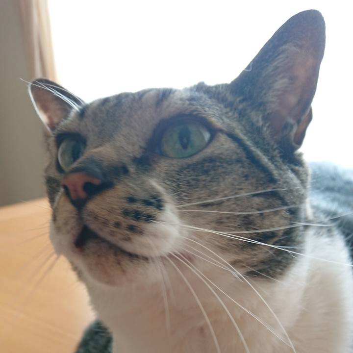 03dc2eb7 3944 4c4c 9b7e 96aa57d83cf9 1524523246758