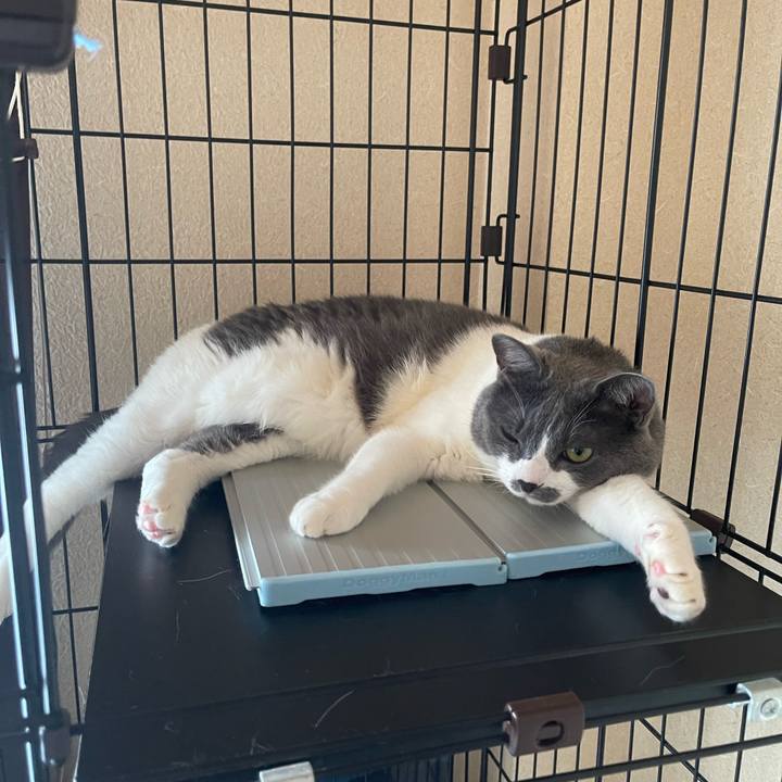 03dc4b97 7ce3 436d 9d1a 95a14577ba4b 1752210027122