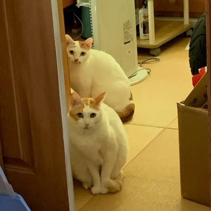 03dc7a72 32cd 45d6 be18 30cdad224362 1606363705574