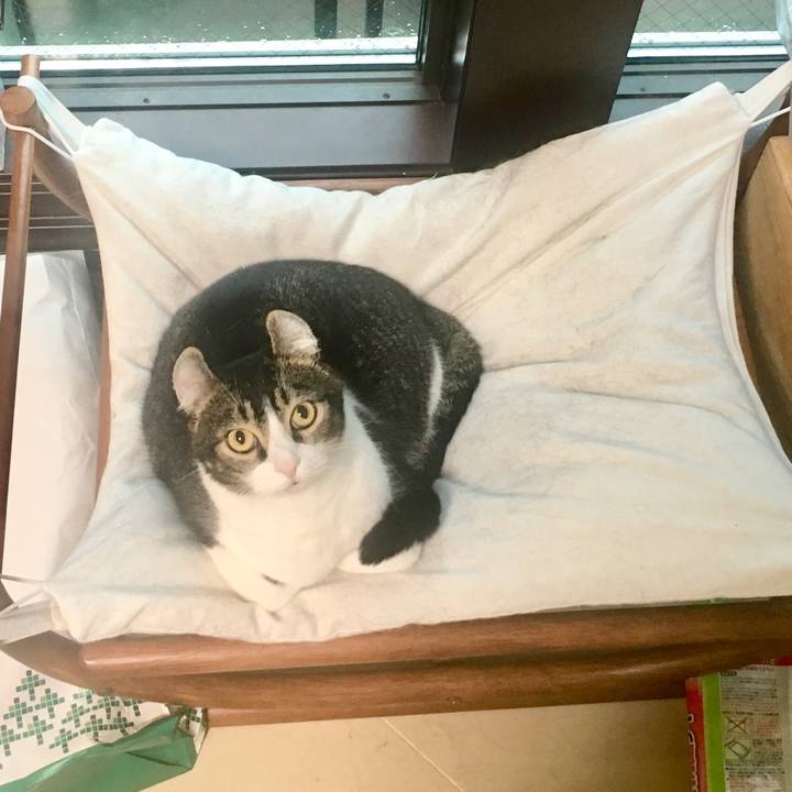 03dcb7ac 7af3 432c ae06 0ac3411a1ffb 1536060838181