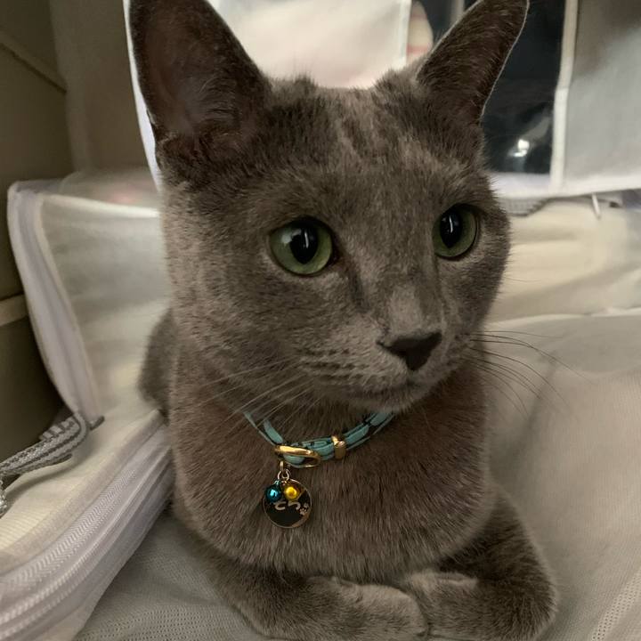 03dcc9c8 5855 477a 8bbe 5eda66a922da 1652529495219