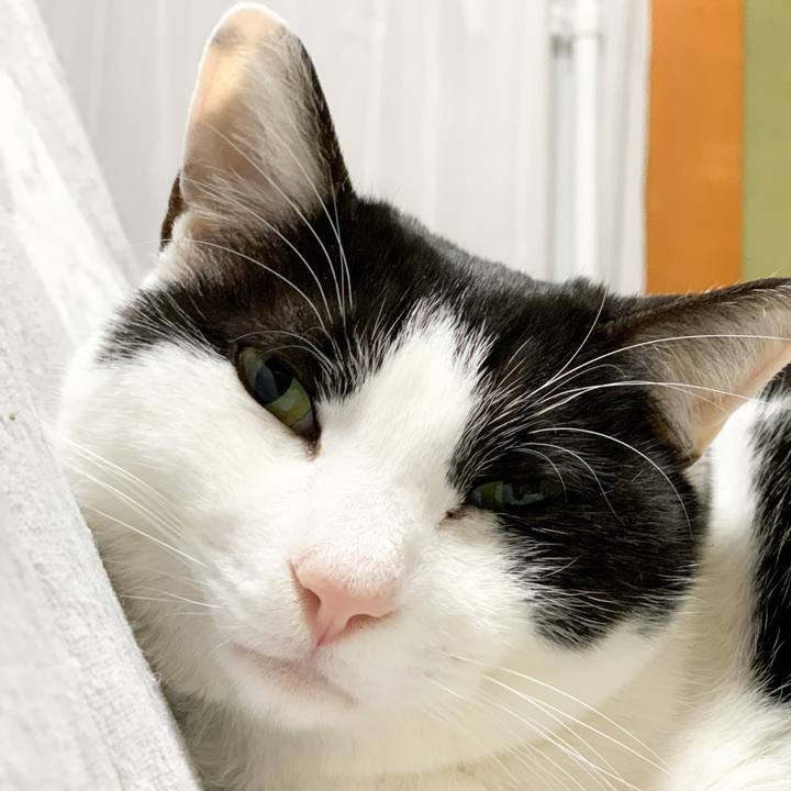 03dccdd3 7af4 41a4 a1af 43fd56058dd3 1581731162151