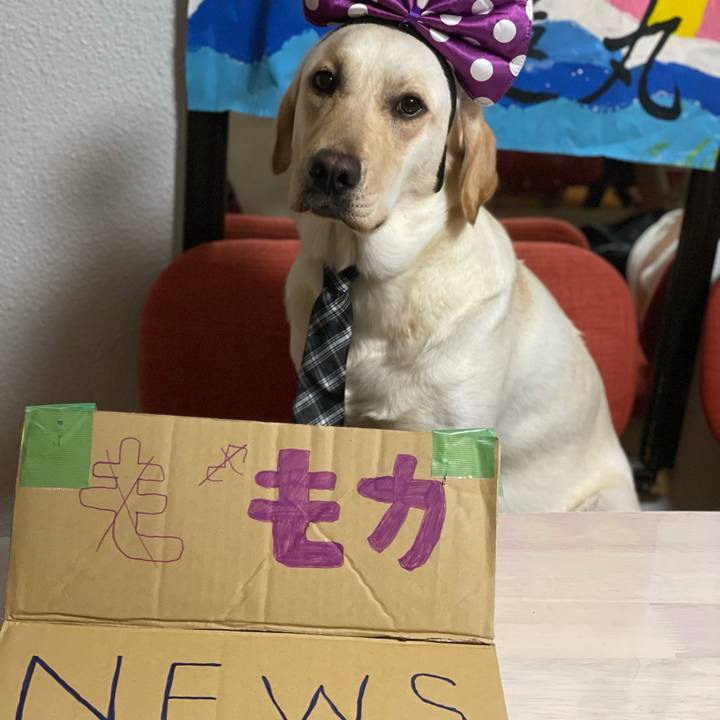 03dcd1b1 eeca 4f34 9a39 73635f313aa2 1654611199478