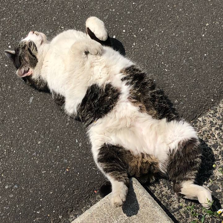 03dcd7e5 dab5 47f8 87aa 739629a2801e 1587034559897