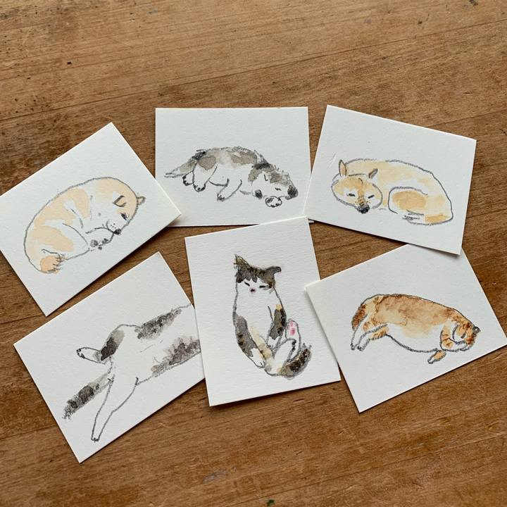 03dd03fe 26fd 43f3 adb9 5ec4fb57c0ea 1631602725953