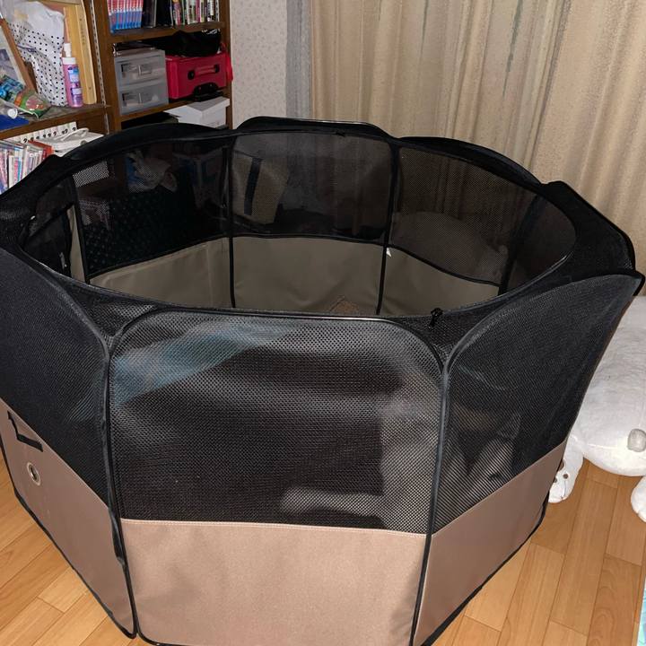 03dd2ad0 d5bc 47a6 aa1a 8677e3806677 1665160418070