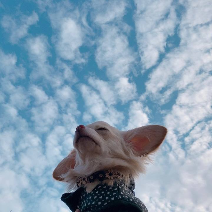 03dd4cc7 4e8e 46d6 9e93 43ba687ae43b 1611299465757