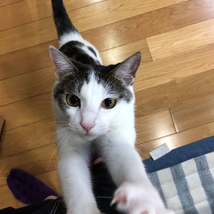 03dd567b 32f7 4ae8 ab34 3ac40a4321be 1600244820369