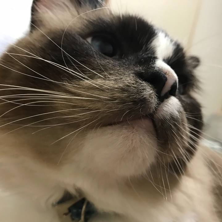 03dd616e 5bcf 4ab3 b59b 245bb75c6844 1511774528669