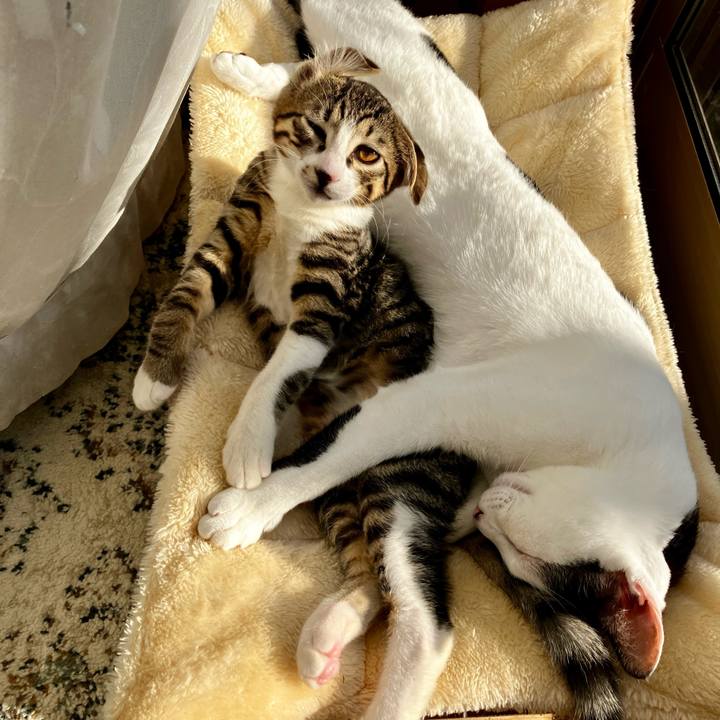 03dd7576 6a73 47d2 8d46 0c9fbc8ebc69 1764515848208