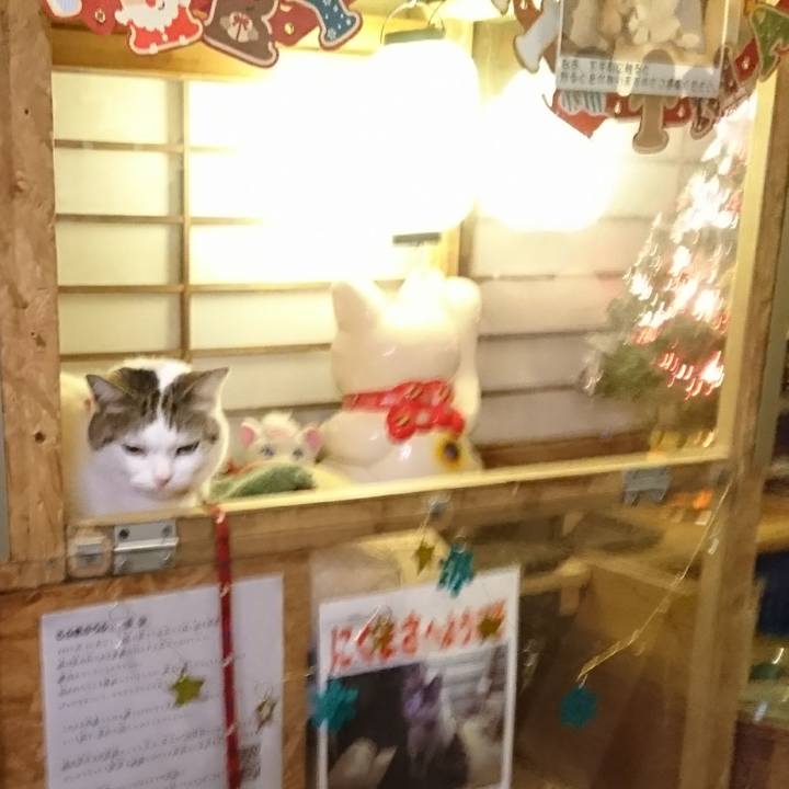 03ddb46c 4f9e 4b32 8dde a5483178861d 1514164931468