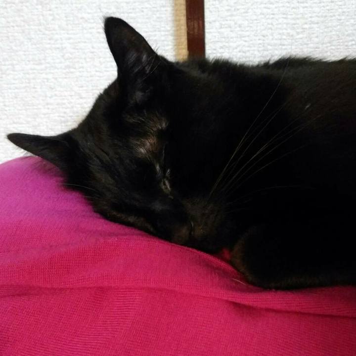 03ddb7f6 589a 417c 9a21 c8688e9a1bea 1516105260553