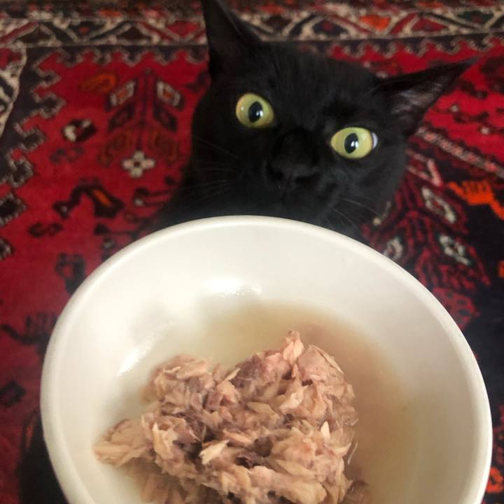 03ddbca0 4664 4f4a af7d d14d60791700 1631877141524