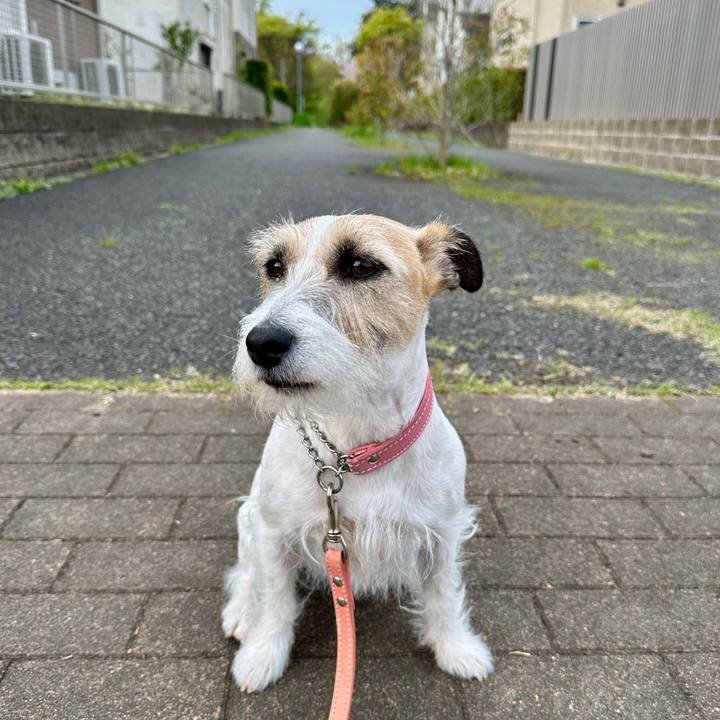 03ddcbd5 8645 44d9 9562 aec7a09ae4cf 1713241718999