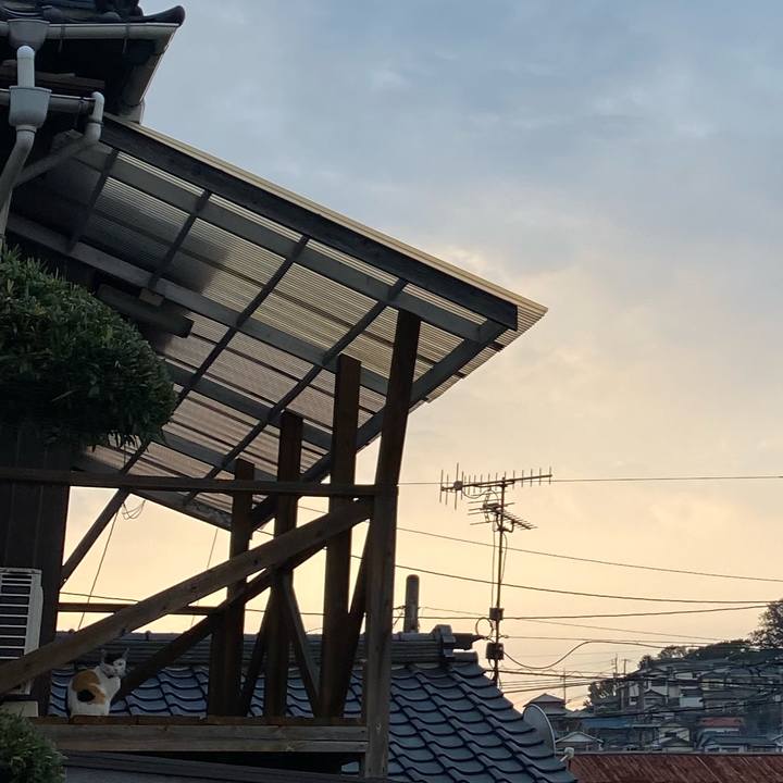 03ddfeb7 8996 4f5b 8d42 c9537b62994e 1635856436377