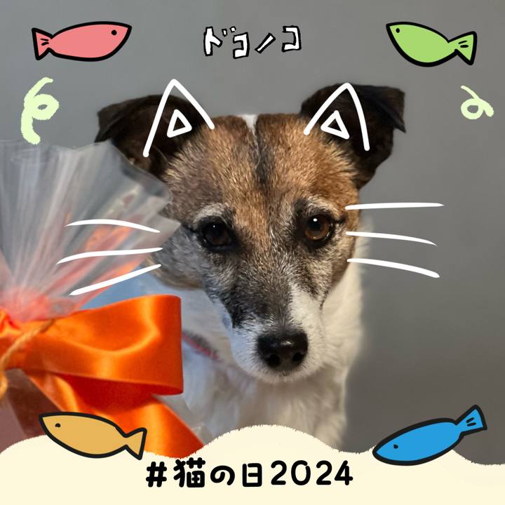 03de6203 06bc 495c 8b1b 17885ef27a5d 1708560628118