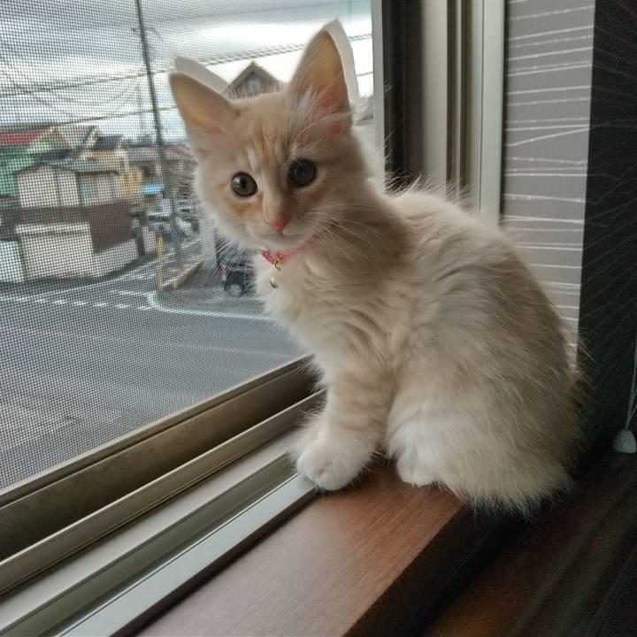 03de667b e23b 4440 b840 48c6f6cef564 1603491458228