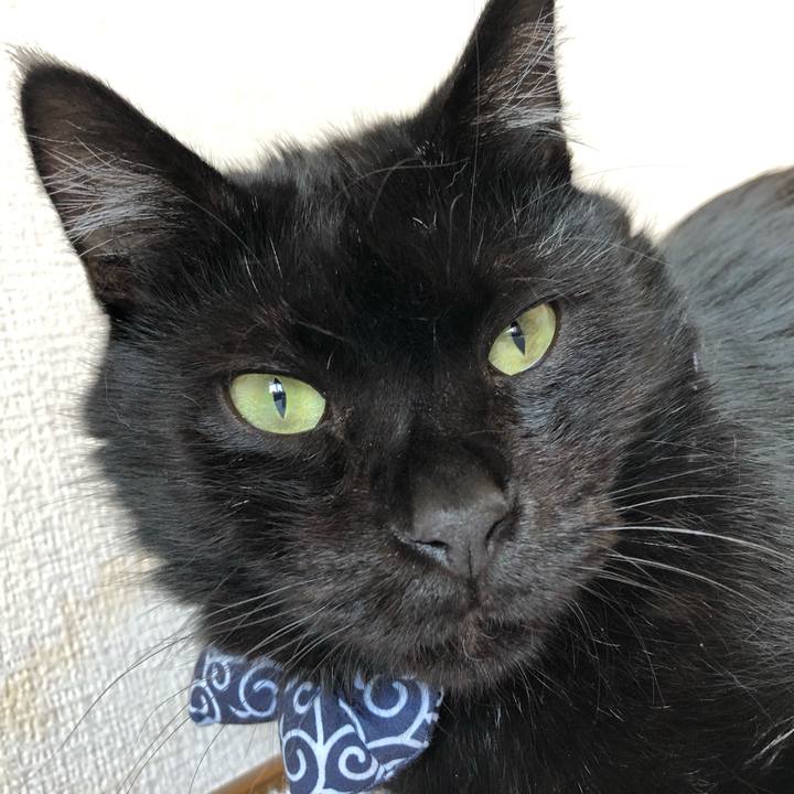 03de6ed5 28ac 4520 a01e 4c42bde5452b 1556946444605