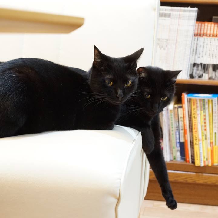 03de79f0 9474 4a9f 9abb bc5a32e1b092 1522971675665