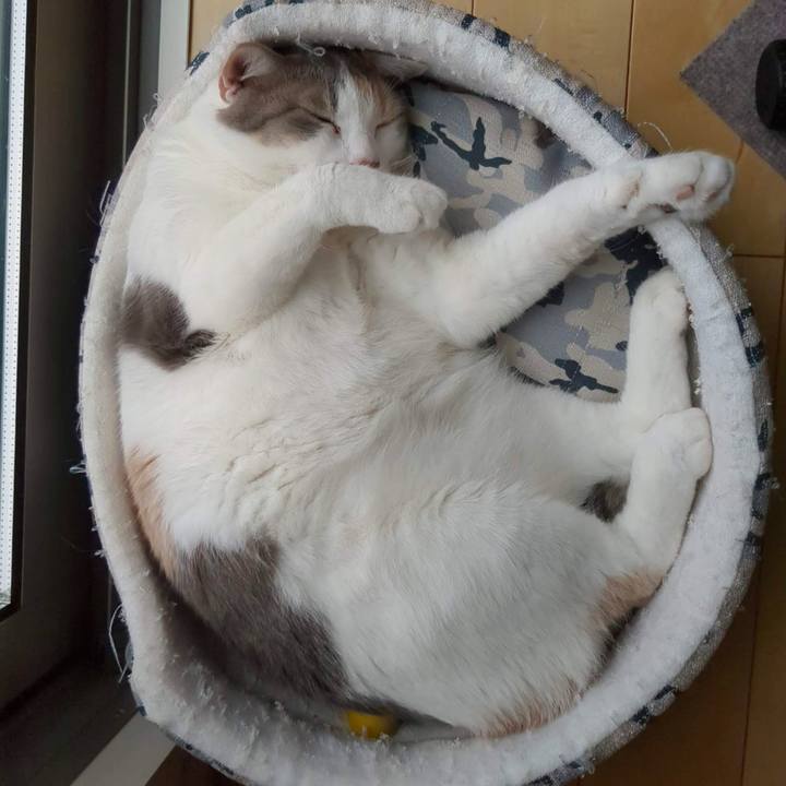 03de9c43 a509 4ff3 8971 186fea34813b 1682915376333