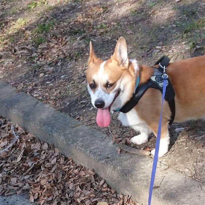 03deade1 6842 47c7 b3ee cab411d0c1e7 1643409347941