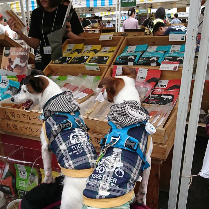 03deb40e 4375 4ef8 881d 05c6a4d79536 1568452009426