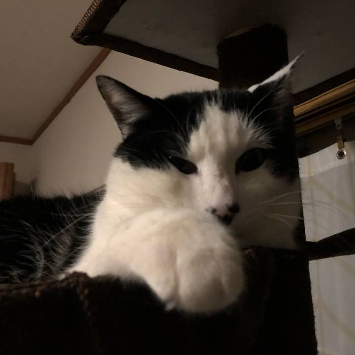 03debee8 c399 4481 b880 3333521ed364 1550614958387