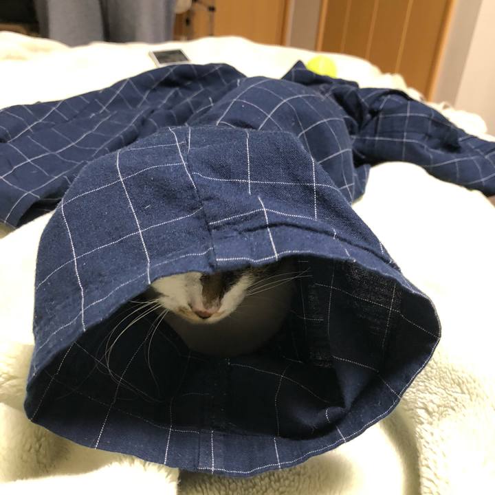 03dedde2 304a 48a4 9234 3d894afcc891 1556572614130