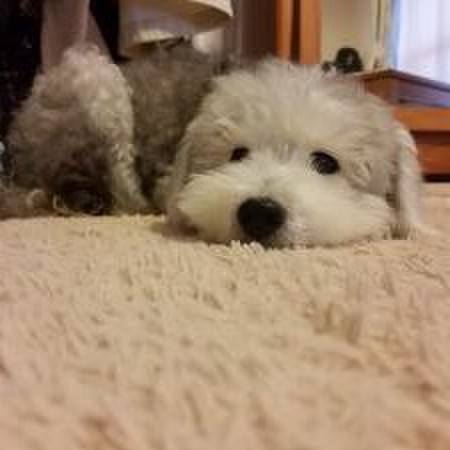 03deeac5 5edd 4cf3 8741 f09a498714f2 1607988504150