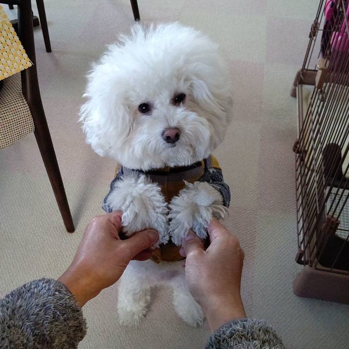 03df0743 7095 43a8 9e83 0cf4f2f72a48 1608194721043