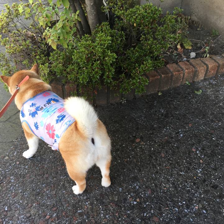 03df1e06 4790 4e24 a36a 60f0de80b730 1565136775130