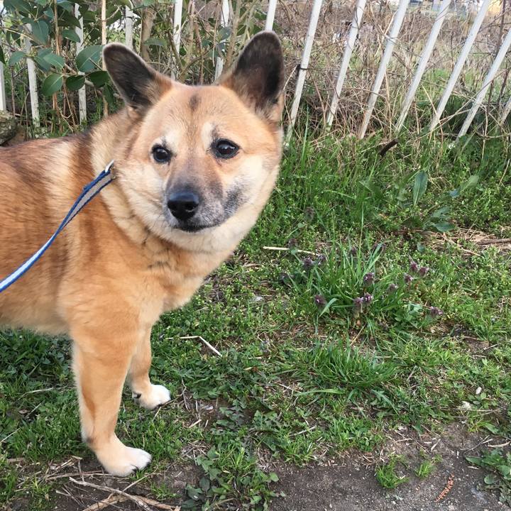 03df3153 8f97 4d45 a272 830c455c6cc7 1522020163839