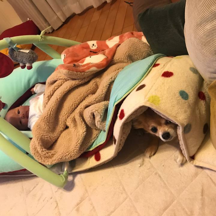 03df428b a102 4c49 8bca ca70b87048b2 1514472513252