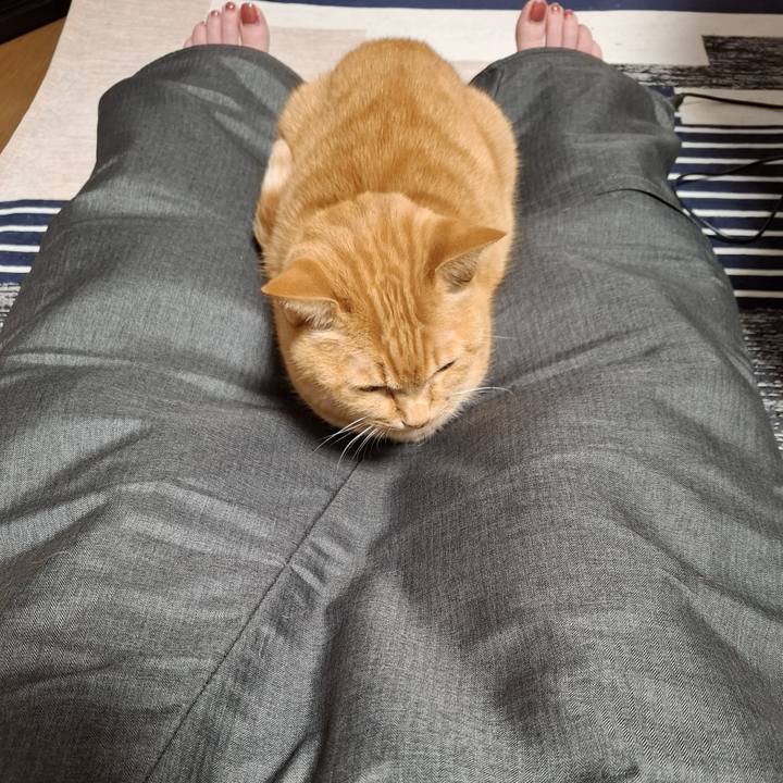 03df7144 672c 4390 a87b ba91087dcea5 1745536387909