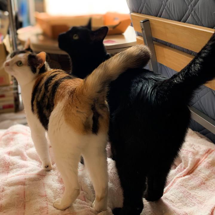 03df887b a7af 4ec0 93de 5bc400a0e78b 1593397415376