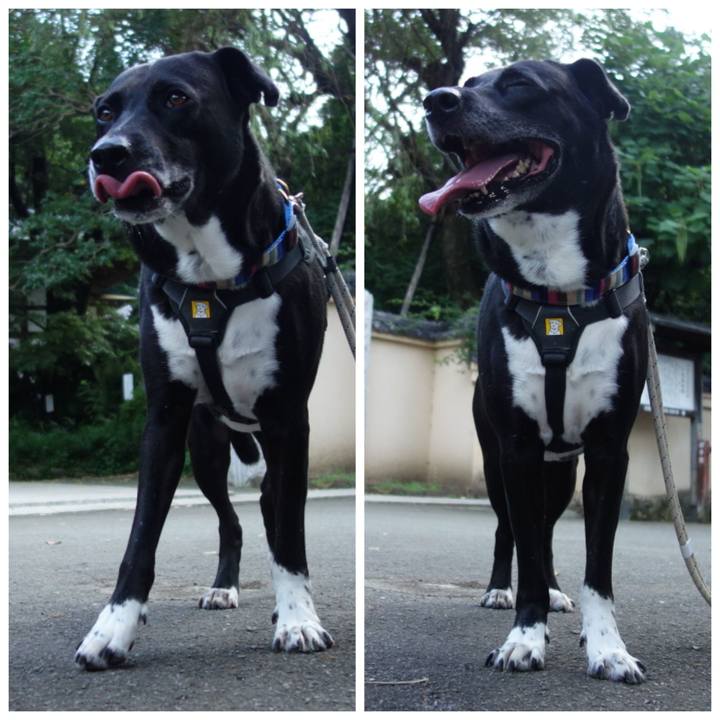 03df9b95 20c8 49c4 9729 7a634e5bc7ed 1658619308762