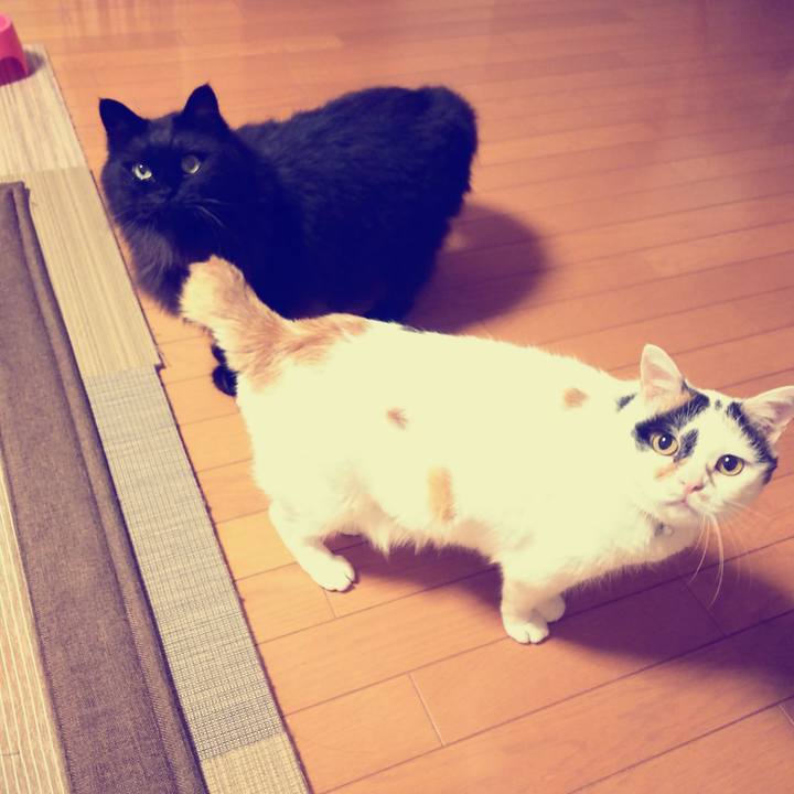 03dfa30c 68c5 4f50 aade 206ab668f63a 1563877337339