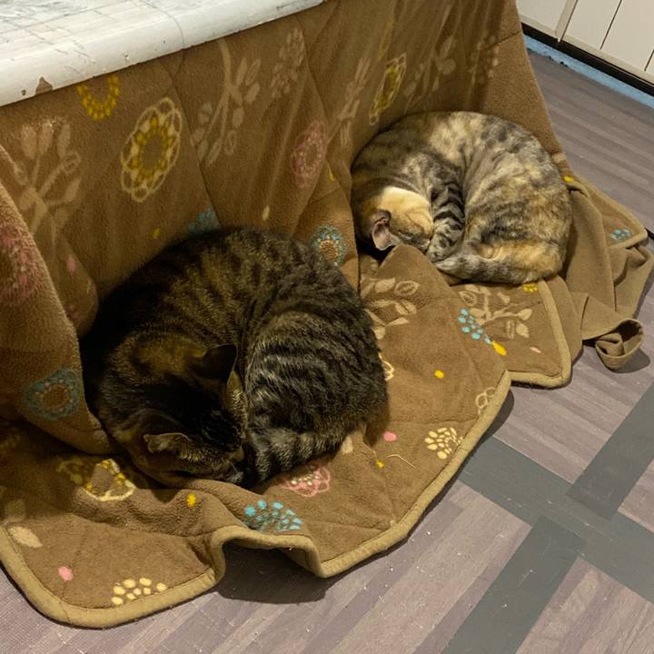 03dfb8e3 bfd4 4eff 94ec 62f99a593157 1650291865016