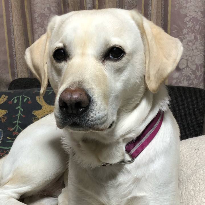 03dfe02d 2f89 42e1 83d1 40e513719303 1575963486964